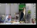 CREATE MEMZ WITHOUT CODING