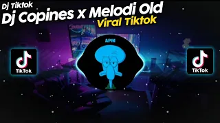 Download DJ COPINES POTA POTA x MELODI OLD VIRAL TIK TOK TERBARU 2022 - VINKY YT MP3
