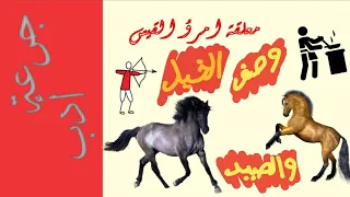  جرعة أدب     معلقة امرؤ القيس   الخيل والصيد و الطبخ في حلقة واحدة دندنها