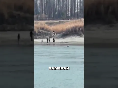 Опытный мужик грамотно среагировал🤯🔥🌊