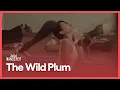 The Wild Plum SoCal Wanderer Season 2 Episode 2