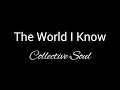 The World I Know - Collective Soul - lyrics