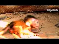 Download Lagu Aww… Mom doesn’t realize Baby is c_rying while t_rying to poop.