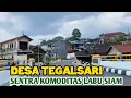 Lagu TEGALSARI PENGHASIL LABU SIAM TERBANYAK DI WONOSOBO 
