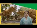 Download Lagu 🌊 Discover Prehistoric Sea Creatures \u0026 Save the Spicy Pepper! 🦖🔥 | @DinoKids | Dinosaur Adventures