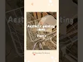Aesthetic Painting Ideas