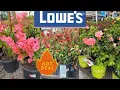 LOWES BEST NEW PLANTS-ARRIVALS FOR HOW TO MAKE YOUR GARDEN BEAUTIFUL