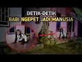 Lagu DETIK-DETIK BABI NGEPET BERUBAH JADI MANUSIA ASLI