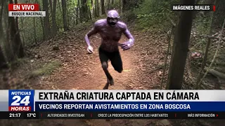 Grabaron Esta CRIATURA Corriendo Por El Bosque… Nadie Sabe Qué Es 😨
