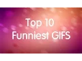 Top 10 FUNNIEST Gifs Reading Reddit