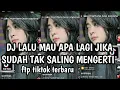 Download Lagu DJ LALU MAU APALAGI JIKA SUDAH TAK SALING MENGERTI DJ KU TAK BISA SOUN VIRAL TIKTOK TERBARU NIE