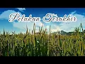 Download Lagu 👉 PELUKAN TERAKHIR 💔 | LAGU PATAH HATI DITINGGAL AYAH