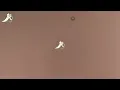 Pip Millett - Deeper Dark @ The Live Show #London