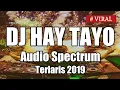 DJ HAI TAYO KEREN REMIX 2019 | Audio Spectrum