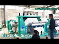 Various Rice Sorter Rice Color Sorter Rice Sorting Machine Manufacturer