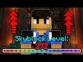 I Tried Boosting My Level Insurmountably High In Hypixel Skyblock