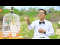 Download Lagu Nurul Mubarok_MAS EDO (Irham)