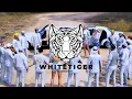 WHITE TIGER OFFICIAL VIDEO #INDOPRIDE
