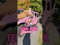 Pink Car Accessories