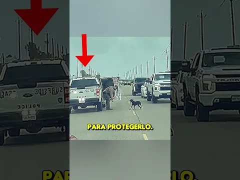 El perro estaba pidiendo al policia que liberara a su amigo