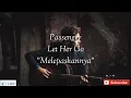 Download Lagu Passenger -\u0026 Let Her Go Lirik dan Terjemahan