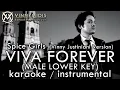 Download Lagu Viva Forever (MALE LOWER KEY Karaoke Instrumental) - Spice Girls (Vinny Justiniani version)