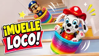 ¡LA PATRULLA CANINA prueba el MUELLE LOCO! 😱🐶 ¡Qué locura!