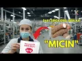 Download Lagu Dari Pabrik ke Makanan: Proses Produksi MSG yang Mengejutkan