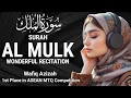 💞MOOISTE QIRAT TER WERELD | SURAH MULK MOOIE KORAN-REITATIE MET ENGELSE VERTALING