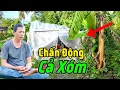 Lagu Cất nhà trên khu đất tâm linh cả gia đình chàng trai trẻ lần lượt ra đi mãi mãi