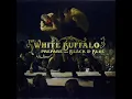 Into the Sun - The White Buffalo
