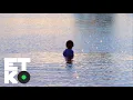 Download Lagu ECO The Kid - See The World (Official Video)