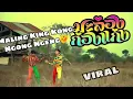 Download Lagu Viral, Lagu Thailand lucu Maling King Kong Ngong Ngeng🤣