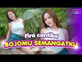 Download Lagu Fira Cantika - Bojomu Semangatku (Official Music Video)