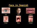 Parts of the Face in Spanish