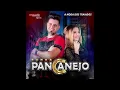 NEM FOI E JÁ VOLTOU - BANDA PANCANEJO - CD A MODA DOS TRAIADOS