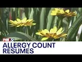 Loyola Medicine allergy count resumes providing insight for allergy sufferers