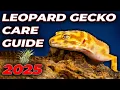 Leopard Gecko Complete Care Guide 2025