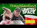 Maximizing Space For Urban Gardening Tips From A Dc Urban Gardener