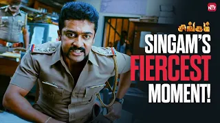 power packed terrific scene singam suriya anushka sun nxt