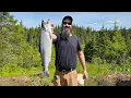 Download Lagu Snagging Sockeye Salmon in Seward | Final Summer Garden Planting