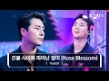 Download Lagu [4K/Exclusive] Young K (DAY6) - Rose Blossom (Original song by H1-KEY) l @JTBC K-909 230513