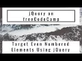 Target Even Numbered Elements Using jQuery jQuery in freeCodeCamp