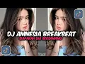 Download Lagu DJ AMNESIA BREAKBEAT FULLBASS TERBARU 2024