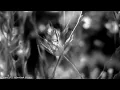 Karen O - Worried Shoes