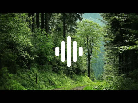 Download MP3 FOREST AMBIENCE | SOUND EFFECTS | HIGH QUALITY | NO COPYRIGHT