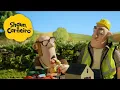 Lagu 🐑Shaun, o Carneiro🐑❤️ Amigos da Fazenda se Divertindo 🐑 Hora Especial🐑| Cartoons Para Crianças