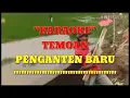 Download Lagu Karaoke temoan \