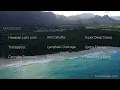 Review of Massage Waikiki Honolulu location delivery
