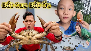 Đi bắt ốc bắt cua / Bắp Vlog